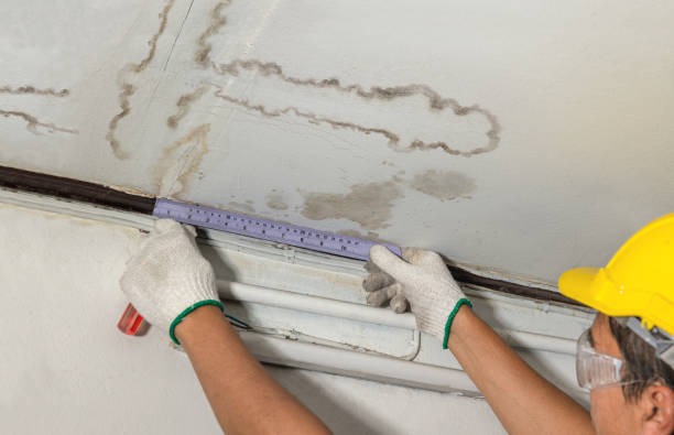 Reliable Water Damage contractor in Fowlerville, MI by Water Damage Irwin